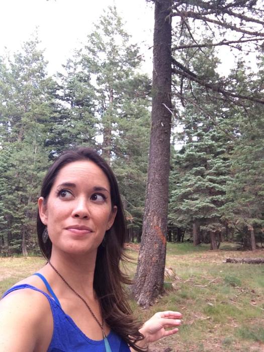 Cornerstone Staffing Solutions, Inc. Mission, Benefits, and Work