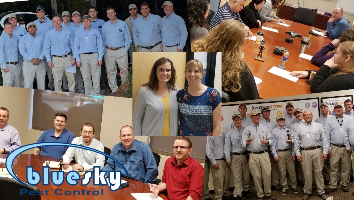 Blue Sky Pest Control Mission, Benefits, and Work Culture