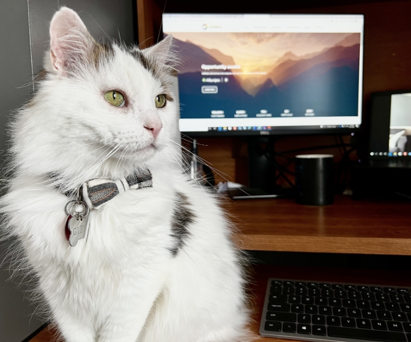 Harris Computer Mission, Benefits, and Work Culture