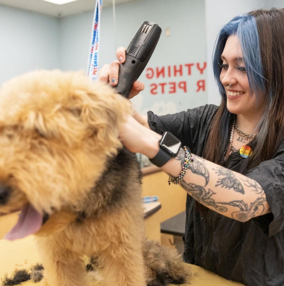 PetSmart Mission, Benefits, and Work Culture | Indeed.com