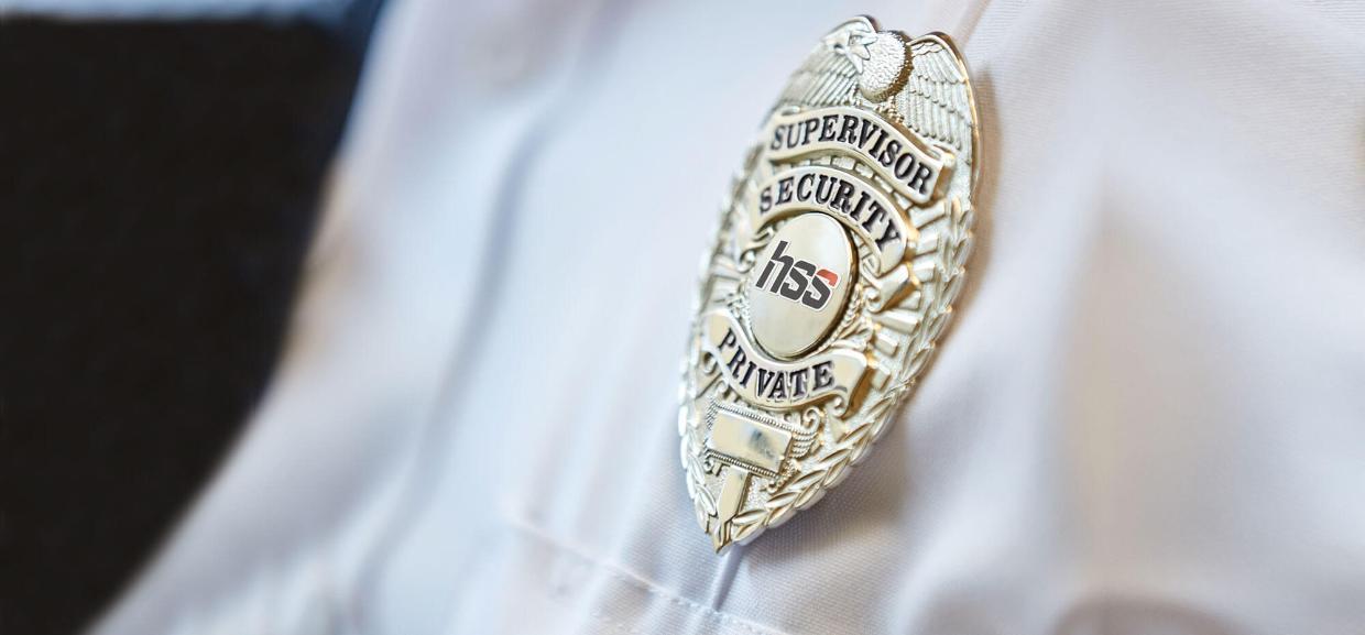 HSS Inc. Mission, Benefits, and Work Culture