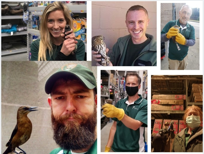 Meridian Bird Removal Mission, Benefits, and Work Culture