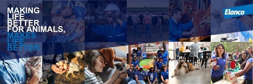 Elanco Mission, Benefits, and Work Culture | Indeed.com