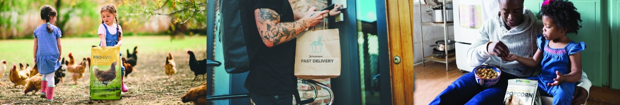ProAmpac Mission, Benefits, and Work Culture | Indeed.com