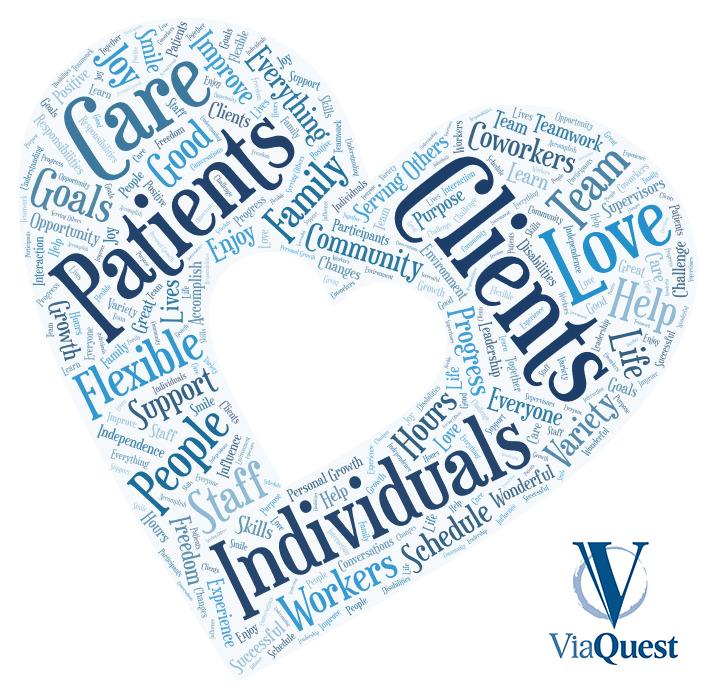 ViaQuest Mission, Benefits, and Work Culture