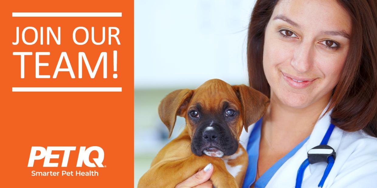 PetIQ Mission, Benefits, and Work Culture