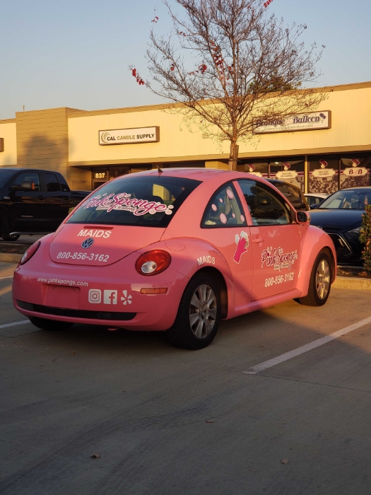 Pink Sponge Mission, Benefits, and Work Culture