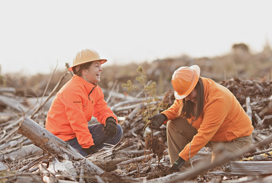 Weyerhaeuser Mission, Benefits, and Work Culture