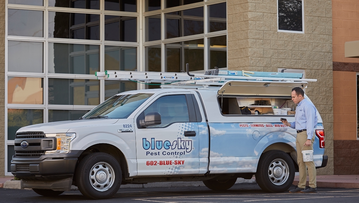 Blue Sky Pest Control Mission, Benefits, and Work Culture