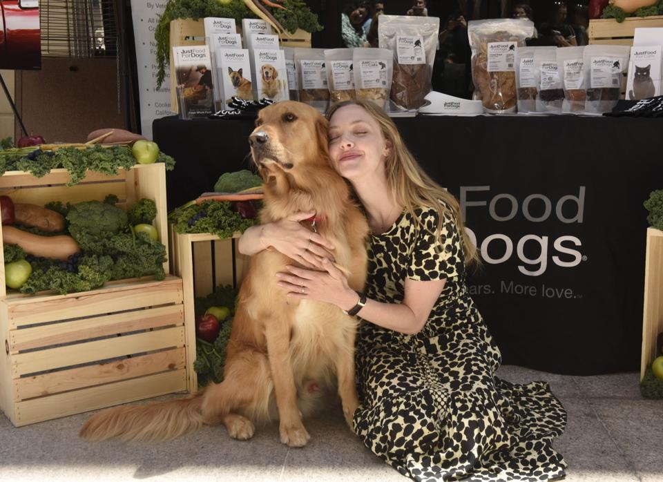 Just Food For Dogs Mission, Benefits, and Work Culture