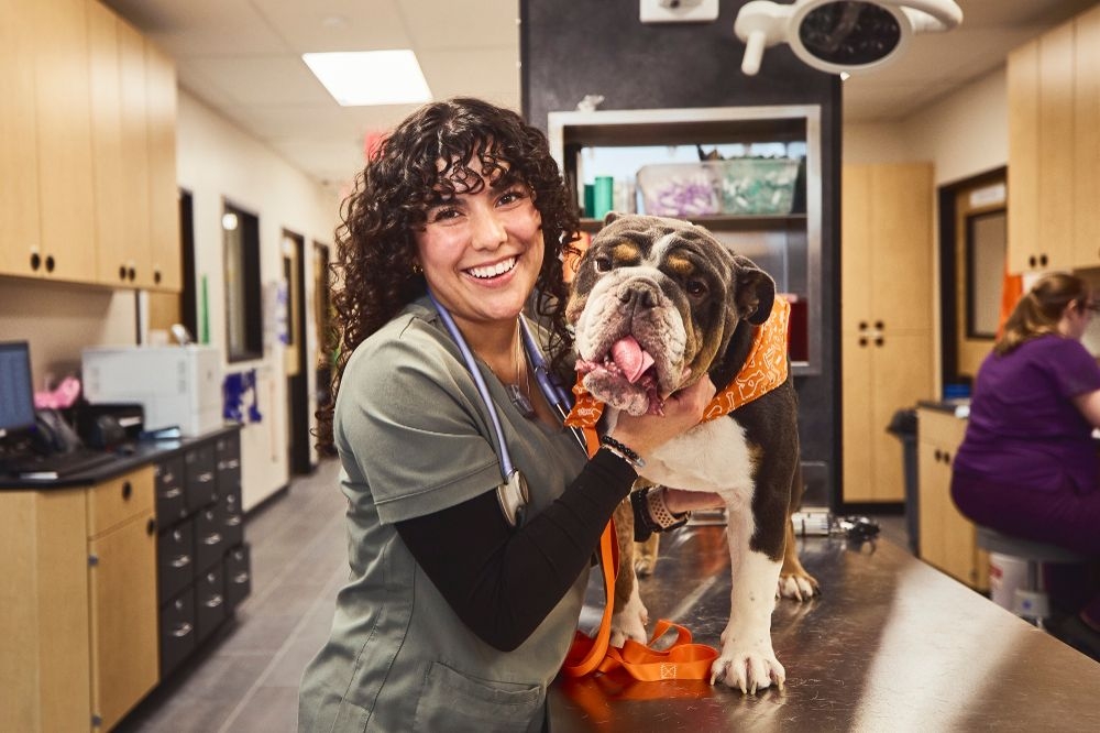 Banfield Pet Hospital Mission, Benefits, and Work Culture