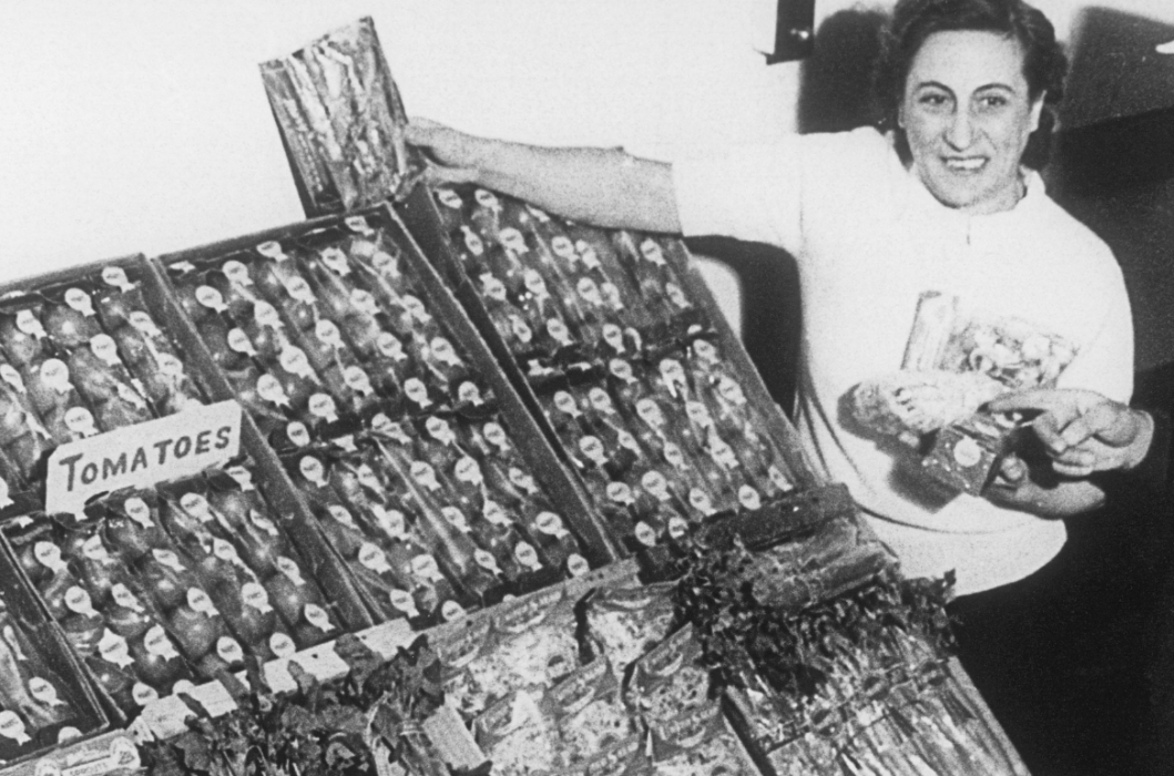 United Salad Co. Mission, Benefits, and Work Culture