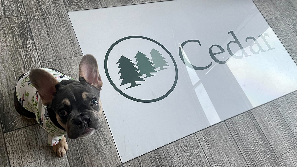 Cedar Management Group Mission, Benefits, and Work Culture