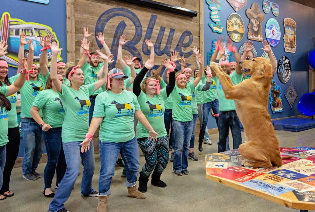 lakeshirts-mission-benefits-and-work-culture-indeed