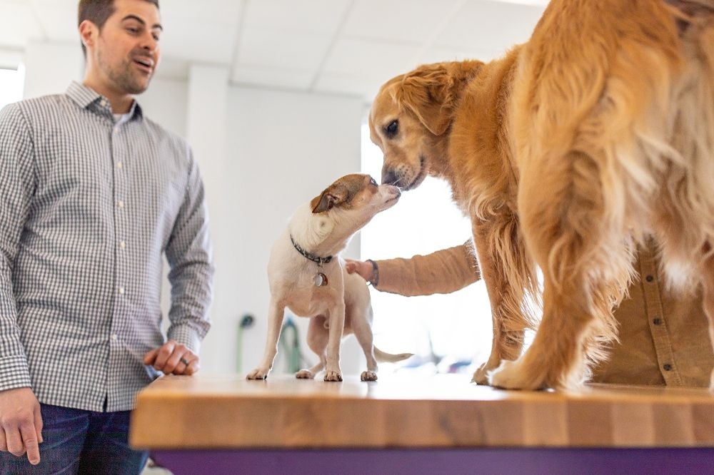 Vetsource Mission, Benefits, and Work Culture | Indeed.com