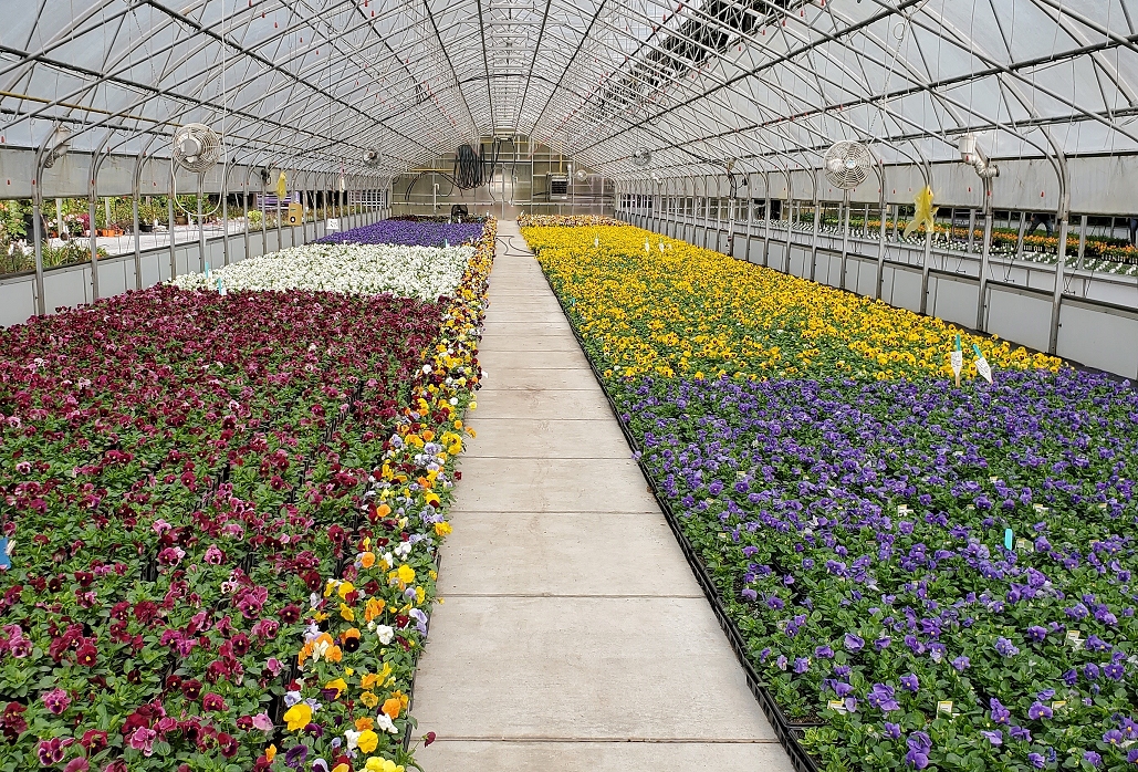 Bell Nursery Mission, Benefits, and Work Culture