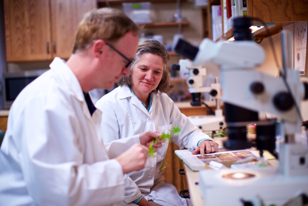 Bartlett Tree Experts Mission, Benefits, and Work Culture