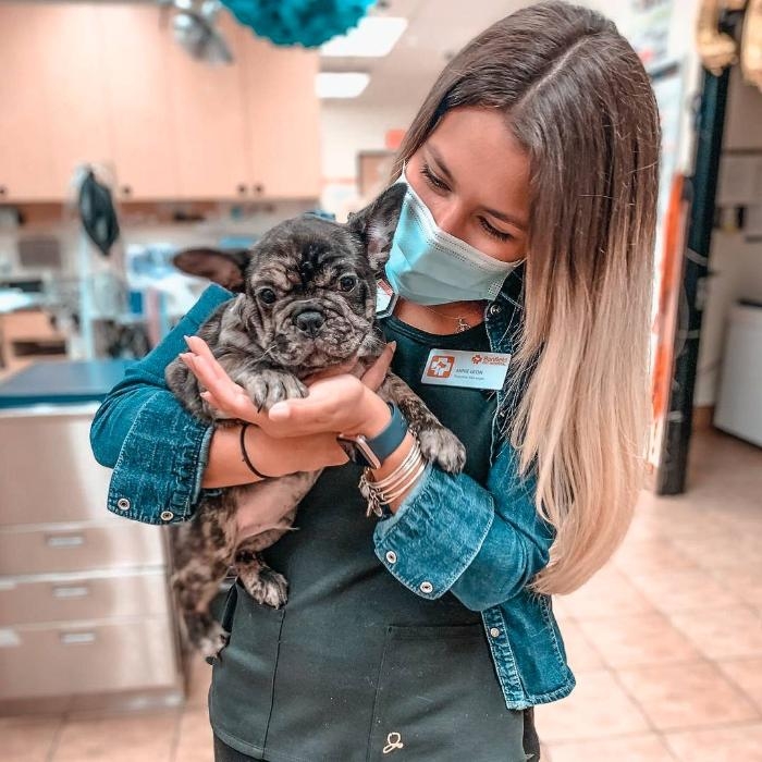 Banfield Pet Hospital Mission, Benefits, and Work Culture