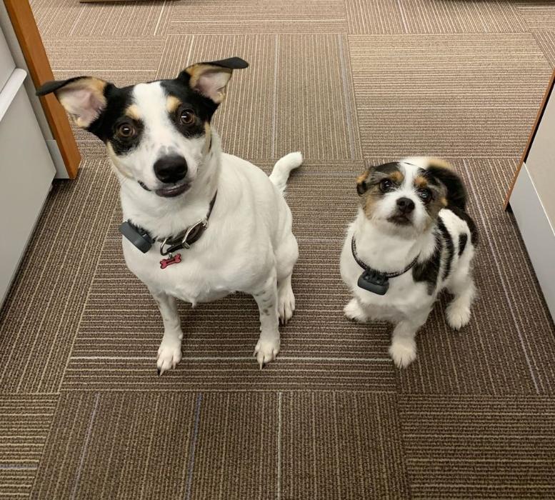 Bank of Ann Arbor Mission, Benefits, and Work Culture