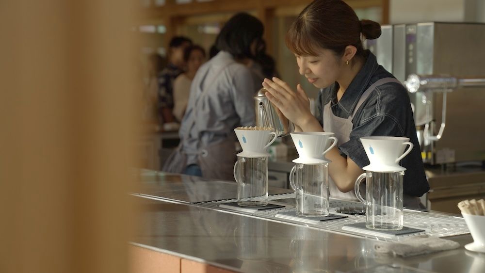 Blue Bottle Coffee Mission, Benefits, and Work Culture | Indeed.com