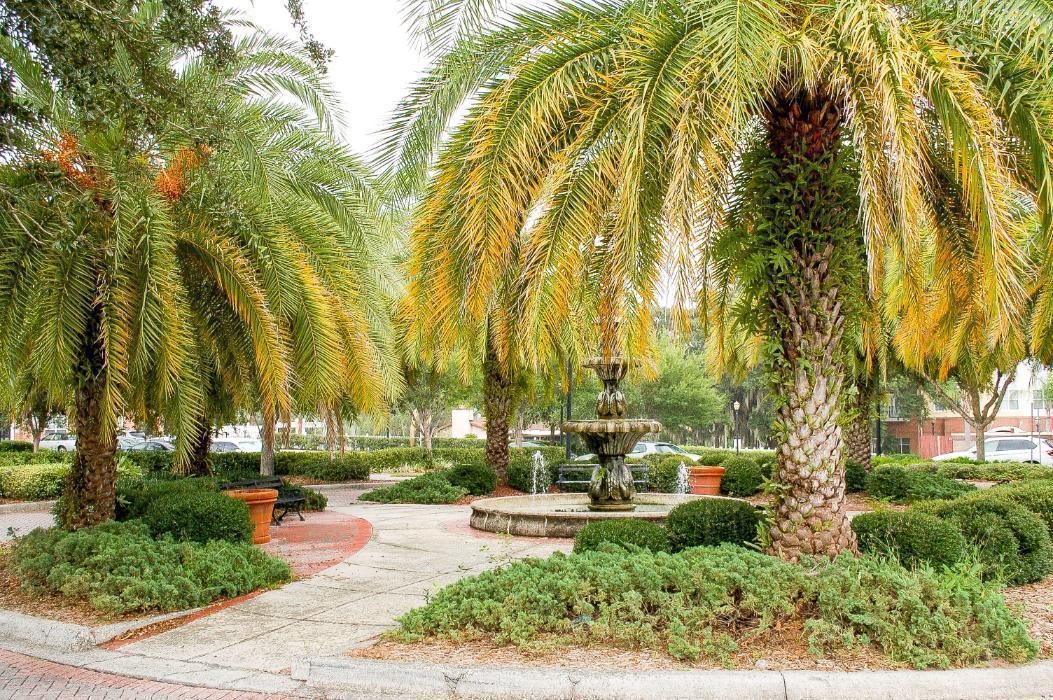 City of Winter Springs Mission, Benefits, and Work Culture