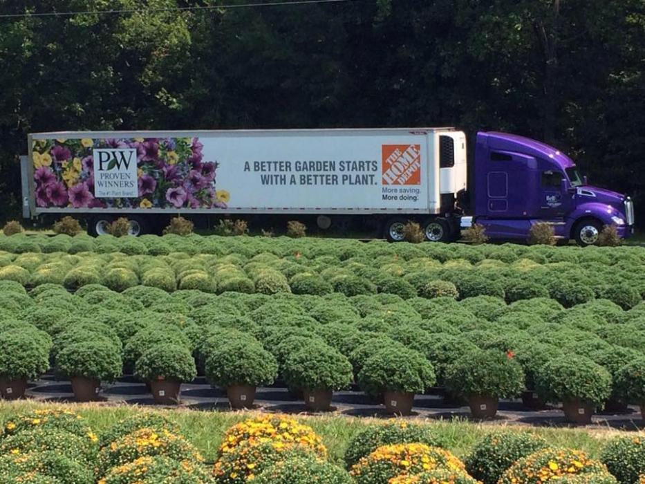 Bell Nursery Mission, Benefits, and Work Culture