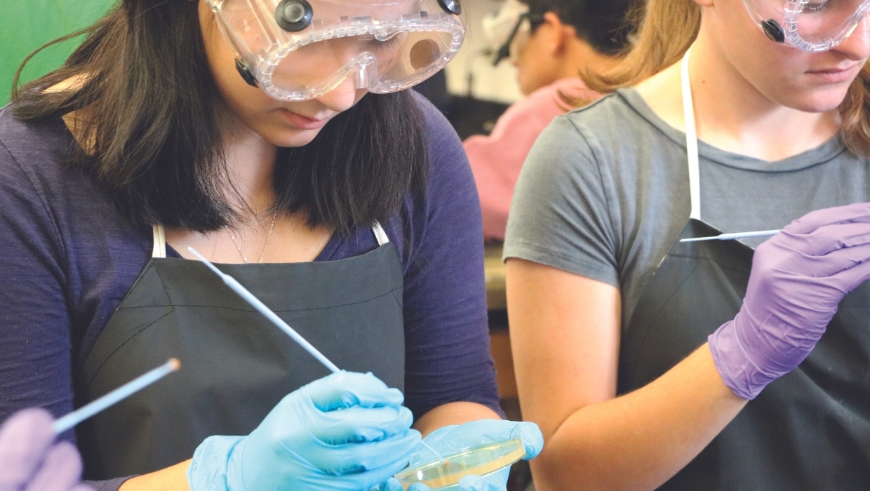 New England Biolabs Mission, Benefits, and Work Culture