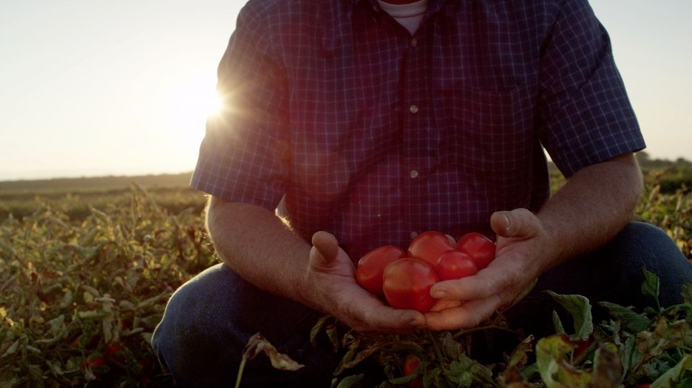 Campbell's Mission, Benefits, and Work Culture