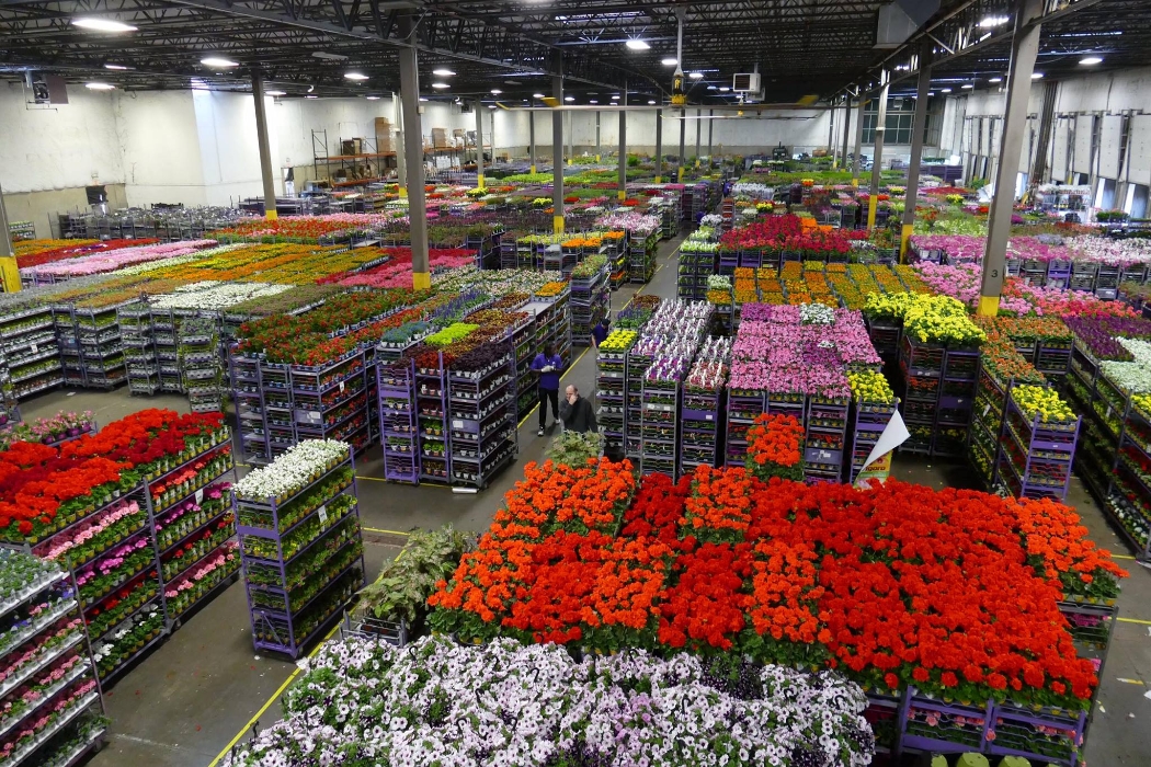 Bell Nursery Mission, Benefits, and Work Culture