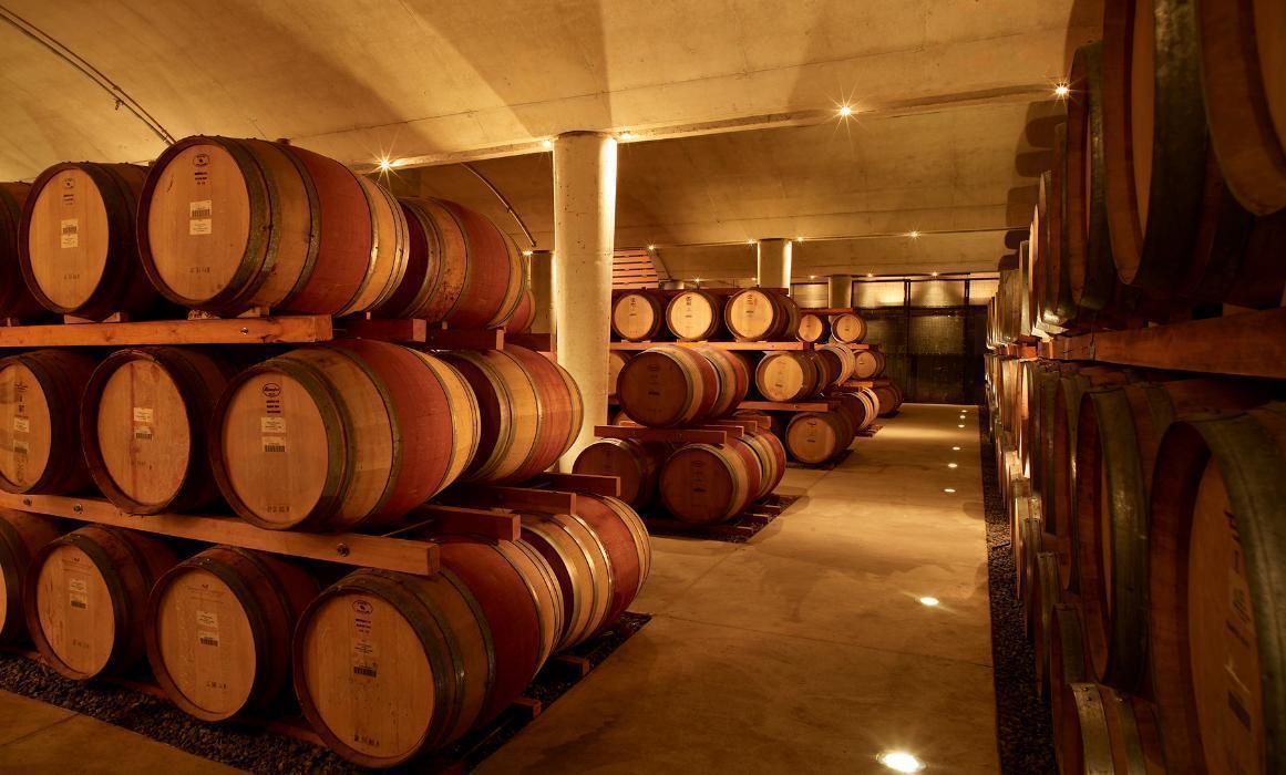 Arterra Wines Canada Mission, Benefits, and Work Culture