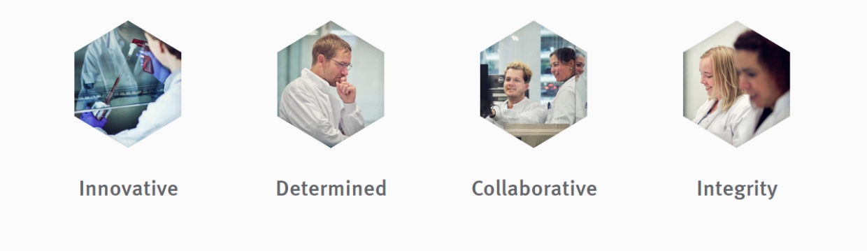 Genmab Mission, Benefits, and Work Culture | Indeed.com