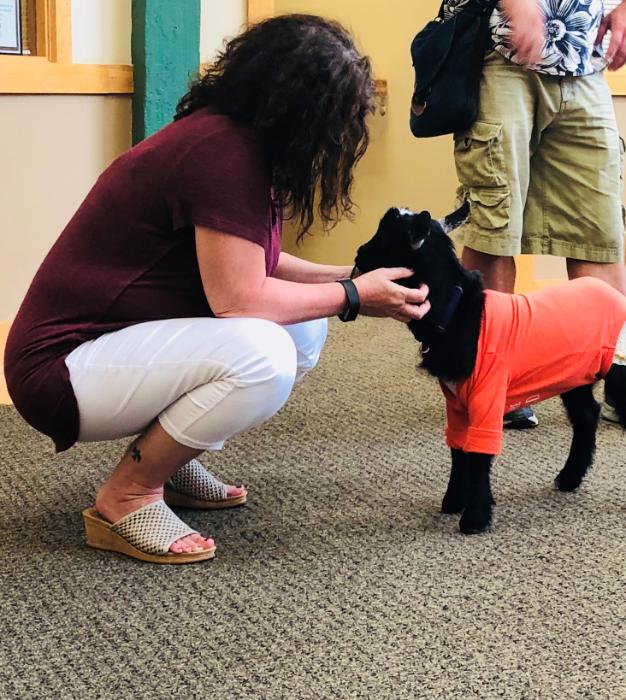 Hayes Gibson Property Services Mission, Benefits, and Work Culture