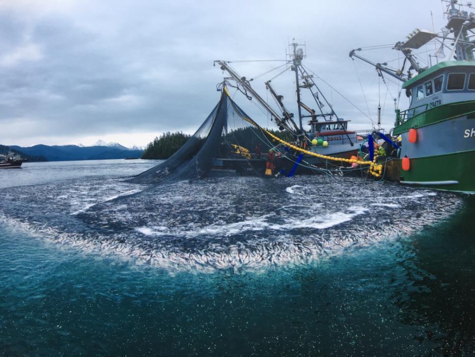 silver-bay-seafoods-mission-benefits-and-work-culture-indeed