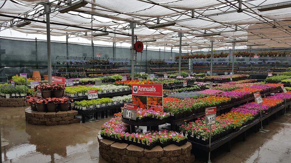 Neal Mast Greenhouses Mission, Benefits, and Work Culture