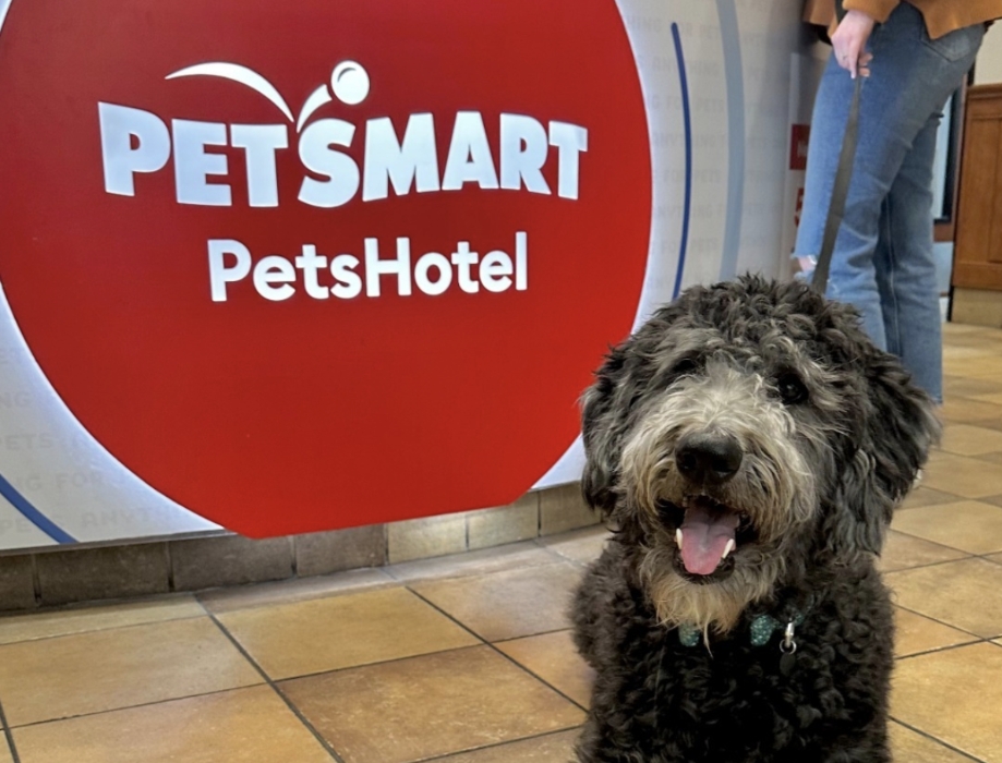 PetSmart Mission, Benefits, and Work Culture