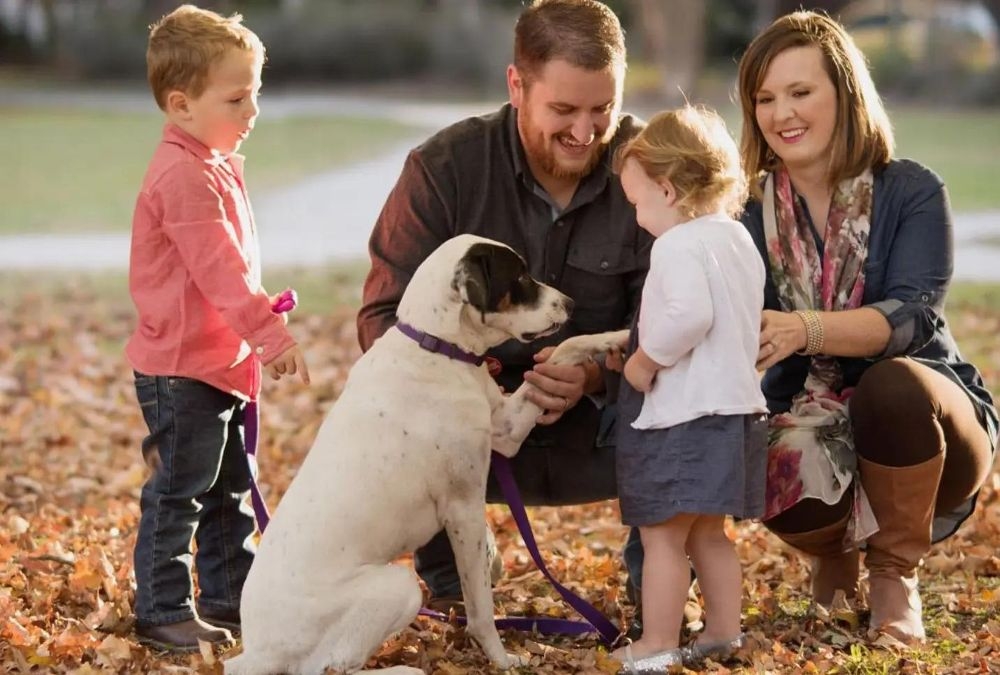 Prisma Health Mission, Benefits, and Work Culture