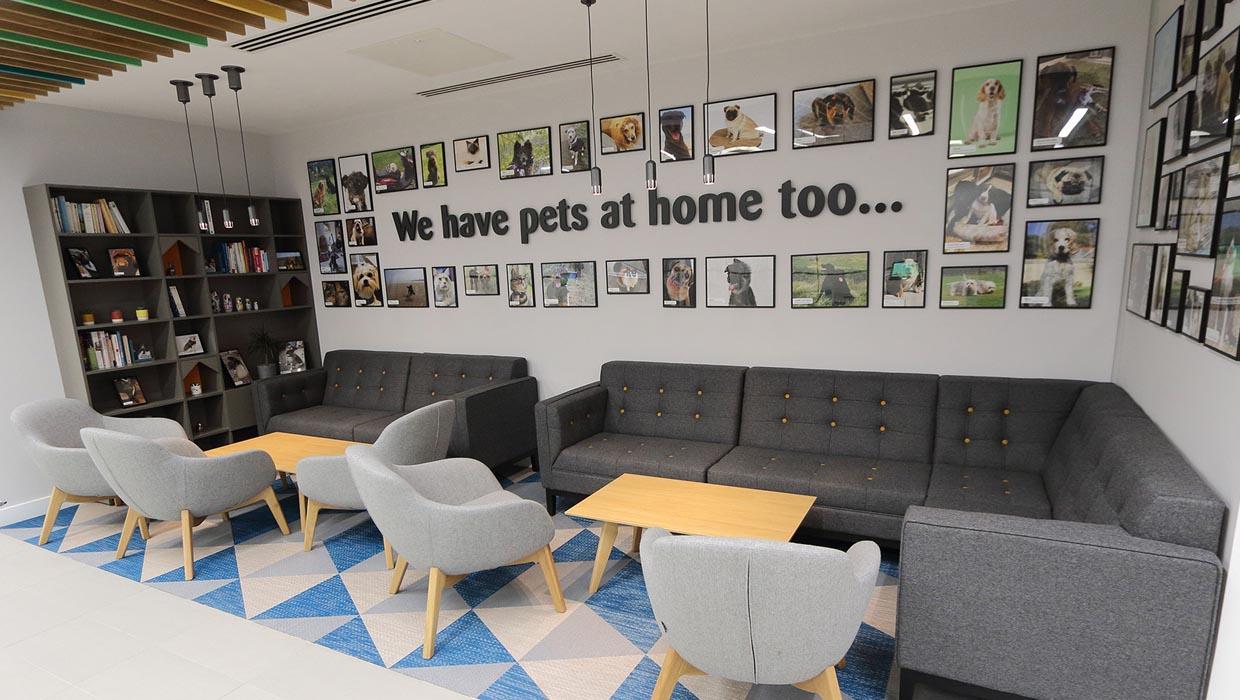 Pets at Home Mission, Benefits, and Work Culture | Indeed.com