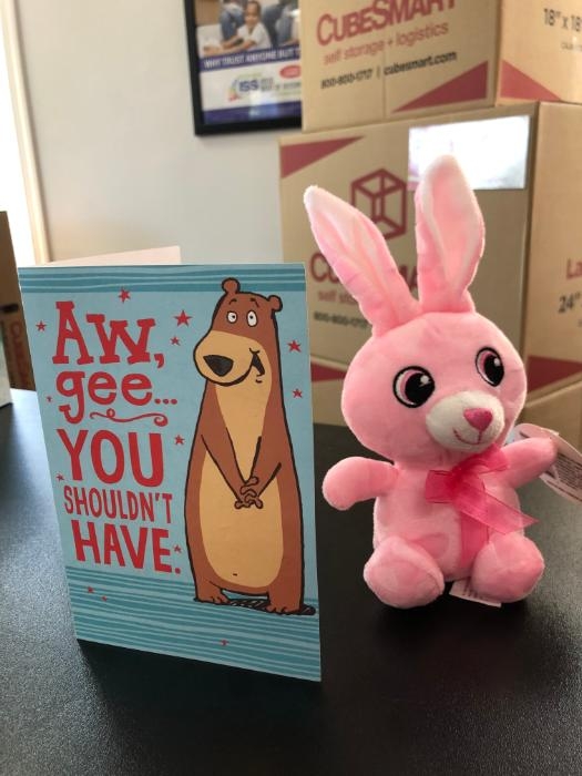 CubeSmart Self Storage Mission, Benefits, and Work Culture