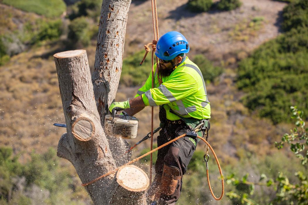 Park West Landscape, Inc. Mission, Benefits, and Work Culture | Indeed.com