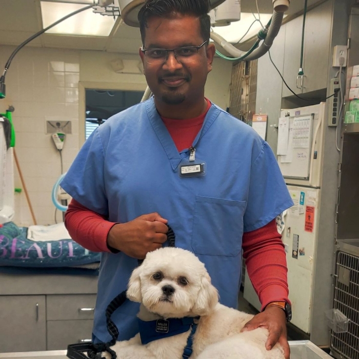 National Veterinary Associates Mission, Benefits, and Work Culture