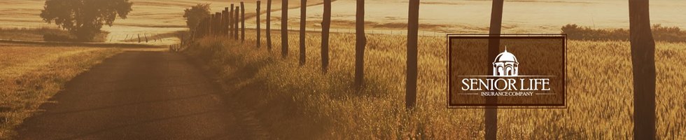 Working At Senior Life Insurance Company 51 Reviews Indeed