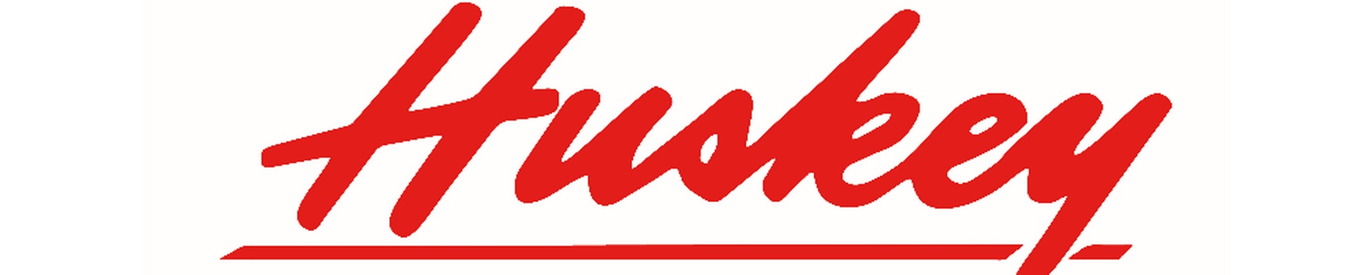 Company banner showing Visual Corporation branding