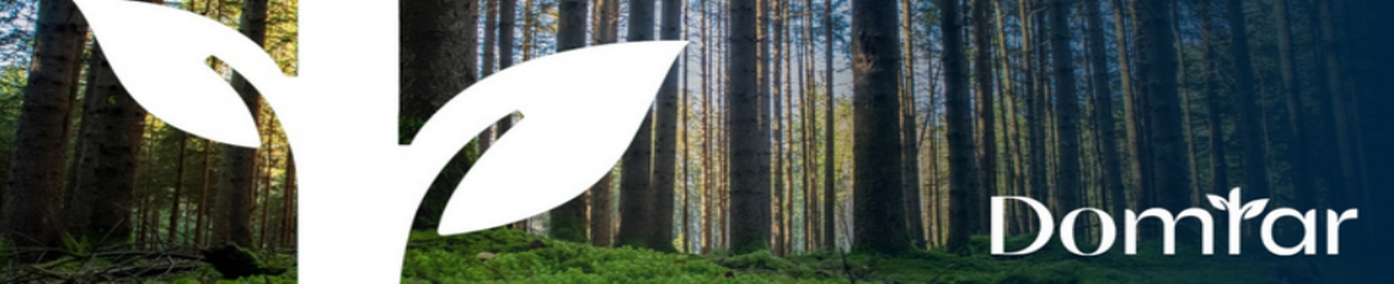 Company banner showing Visual Corporation branding