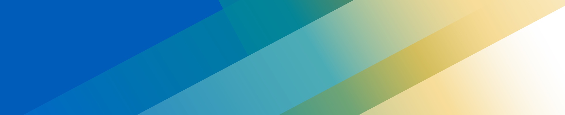 Company banner showing Visual Corporation branding