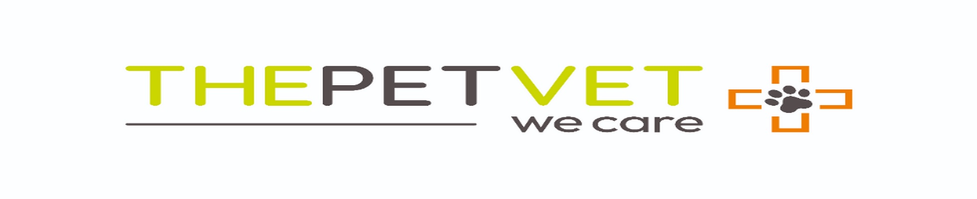 Company banner showing Visual Corporation branding