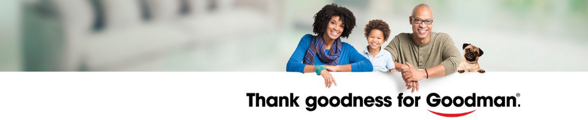 Company banner showing Visual Corporation branding