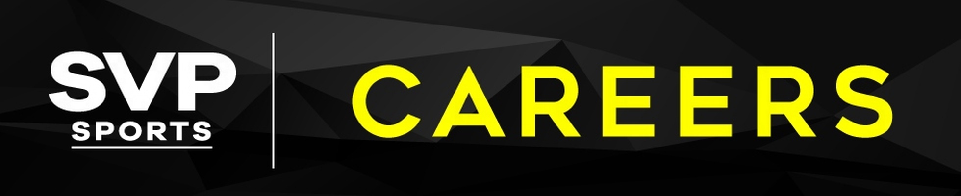 Company banner showing Visual Corporation branding