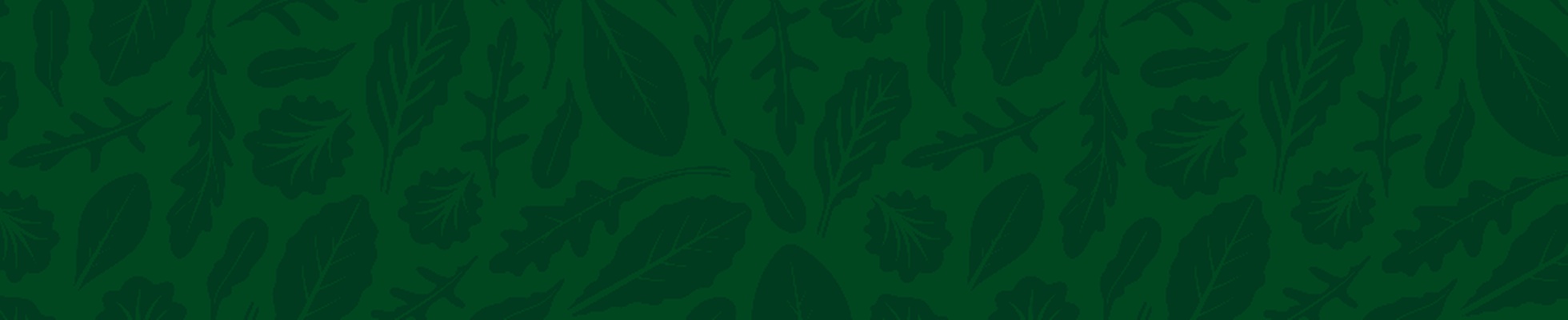 Company banner showing Visual Corporation branding