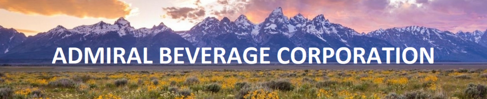 Company banner showing Visual Corporation branding