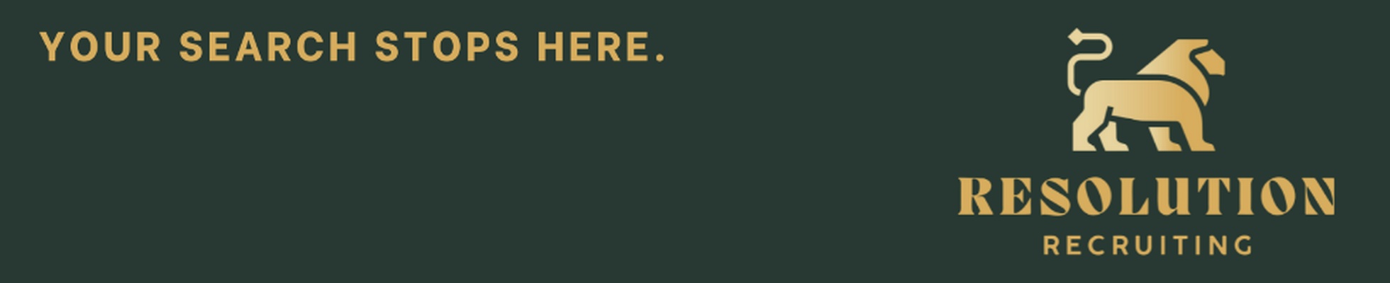 Company banner showing Visual Corporation branding